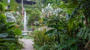I Giardini La Mortella tra i migliori al mondo secondo TripAdvisor