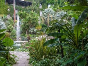 I Giardini La Mortella tra i migliori al mondo secondo TripAdvisor: l’oasi esotica nata da una storia d’amore