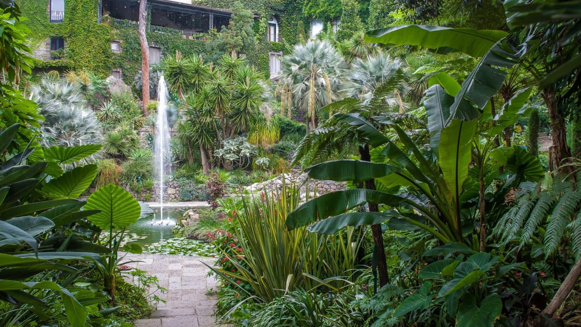 I Giardini La Mortella tra i migliori al mondo secondo TripAdvisor: l'oasi esotica nata da una storia d'amore