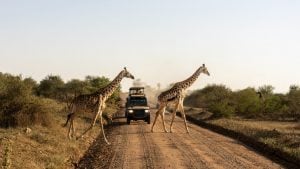 È boom di viaggi avventura: camping, safari e tour on the road sono i più richiesti per l'estate 2026