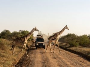 È boom di viaggi avventura: camping, safari e tour on the road sono i più richiesti per l’estate 2026