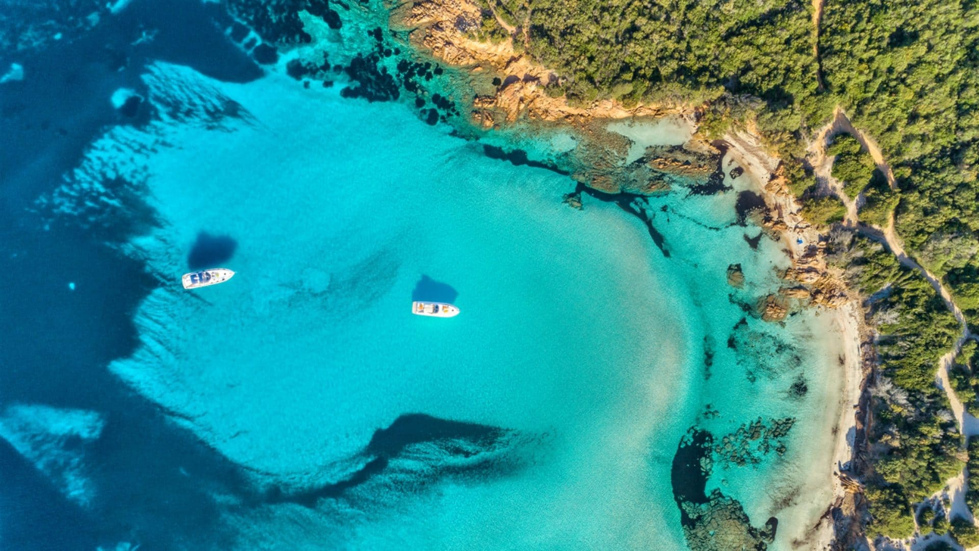 Bandiere Blu 2026, l'elenco comparso sul web è fake: il 14 maggio si scopriranno le spiagge premiate