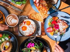 I 10 brunch più particolari da provare in Italia e in Europa: da quello dove adottare gatti a quello nella giungla
