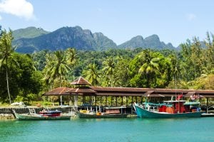 Dove è stato girato Money Road: il reality è ambientato nella giungla malesiana di Langkawi