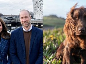 Il nuovo cane di William e Kate è un cocker spaniel di nome Otto