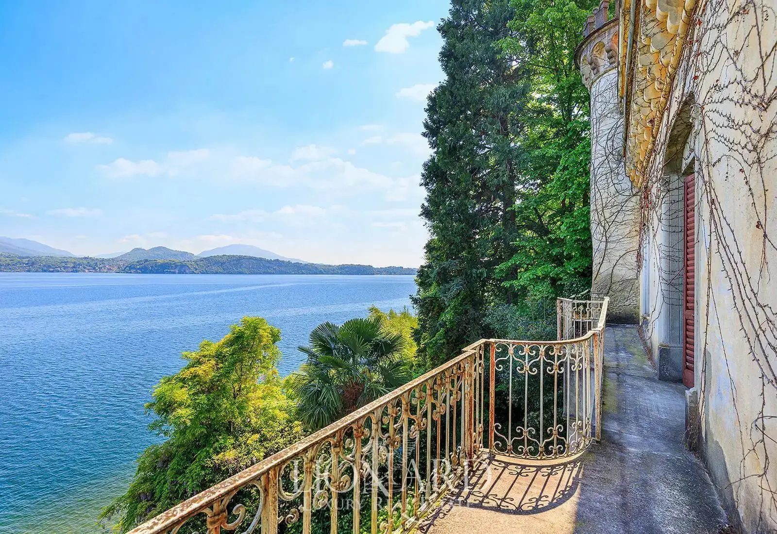 Lionard Luxury Real Estate