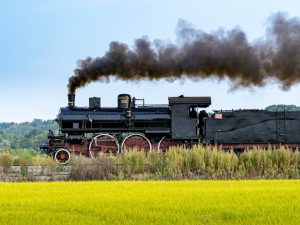 Riparte il treno delle Fortezze 2026, con 10 euro un viaggio tra i luoghi che hanno ispirato Leonardo da Vinci