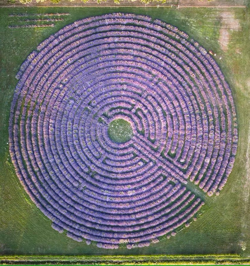 Labirinto di lavanda, Va Oltre la Tenuta, Bovolenta