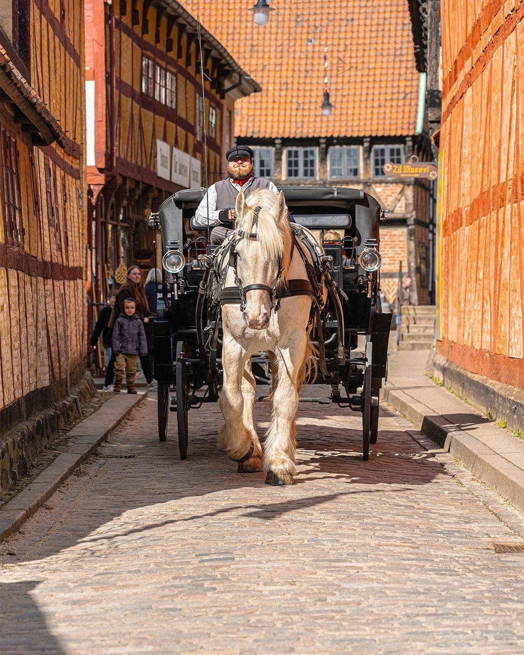 Un calesse all’interno del Den Gamle By, Aarhus