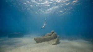 All'Argentario nuovo museo sott'acqua con 5 sculture: il progetto di Casa dei Pesci per proteggere il mare