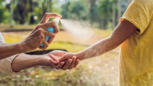 Citronella e bracciali antizanzare funzionano? Il dermatologo: "Protezione limitata, meglio repellenti DEET"
