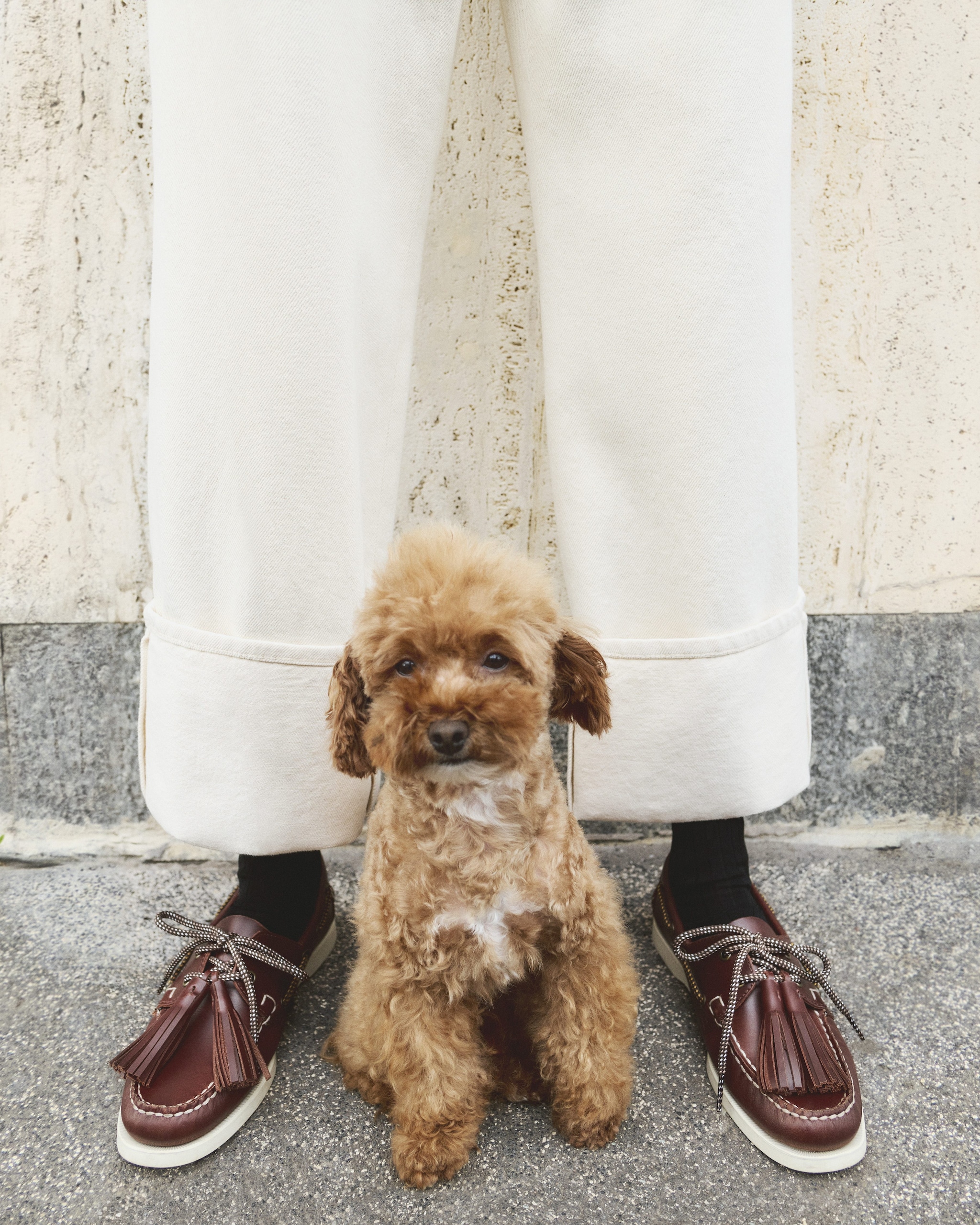 Scarpe da barca Sebago