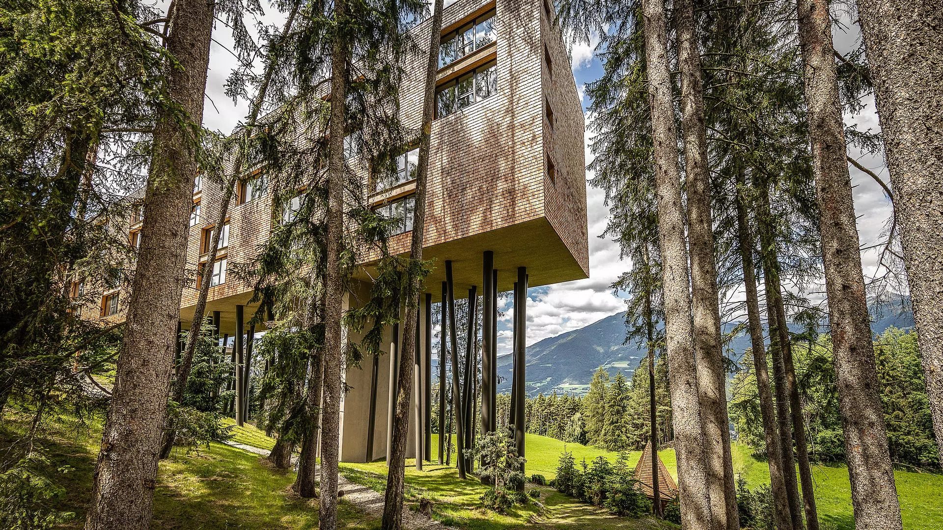 Hotel My Arbor, Trentino Alto Adige