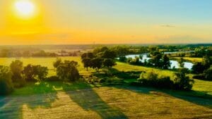 Breslavia ha una nuova foresta: in Polonia inaugura il progetto green per il benessere urbano