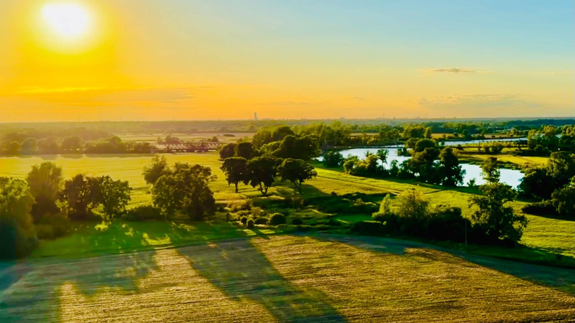 Breslavia ha una nuova foresta: in Polonia inaugura il progetto green per il benessere urbano