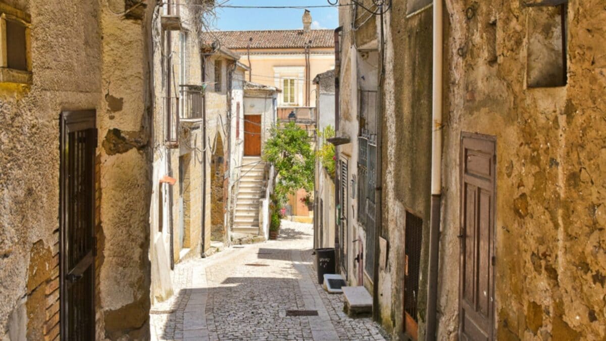 Immagine