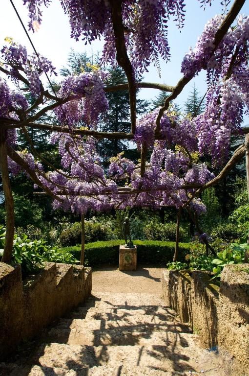I giardini di Villa Cimbrone