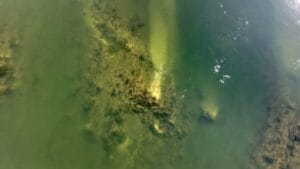 Riemerge dal Danubio un reperto romano di 2000 anni fa: dove si trova il Ponte di Costantino e come visitarlo