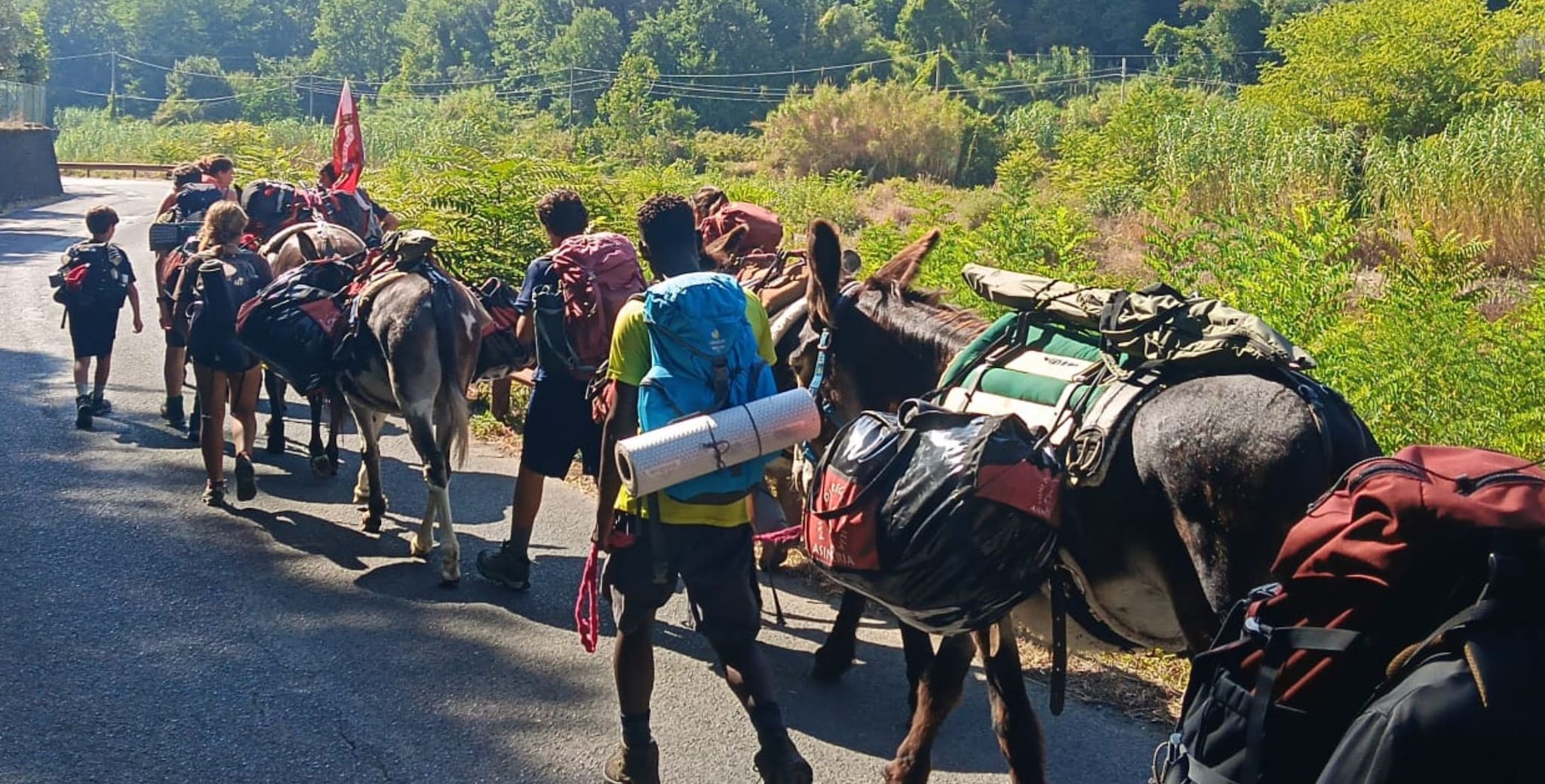 Il viaggio di 32 ragazzi e 4 asini: "È un animale che insegna la lentezza, fa parte del gruppo"