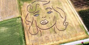 Disegna il volto Marilyn Monroe in un terreno, il land artist Dario Gambarin: "Fatto con un trattore in 8 ore"