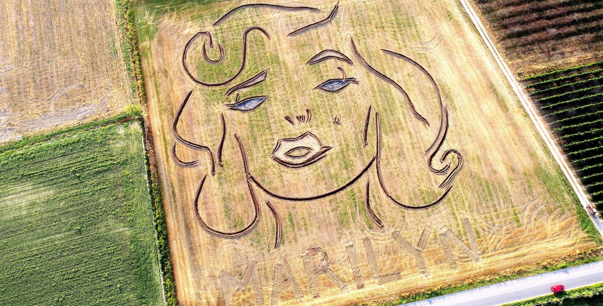Disegna il volto Marilyn Monroe in un terreno, il land artist Dario Gambarin: "Fatto con un trattore in 8 ore"