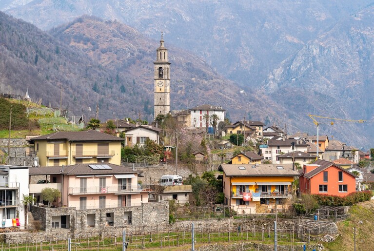 Immagine