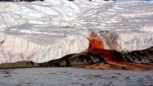 Le cascate di sangue dell'Antartide: perché l'acqua che fuoriesce dal ghiacciaio è rossa