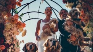 La location del matrimonio di Vanessa Incontrada è una tenuta nel Chianti con borgo e cantine storiche