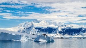 Oltre 100mila euro per vivere un anno in Antartide: quali sono i requisiti richiesti