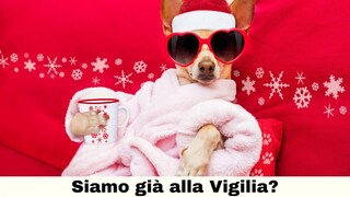 La Vigilia Di Natale Nel Paese Delle Meraviglie - Libro Di Carys Bexington Kate Hindley