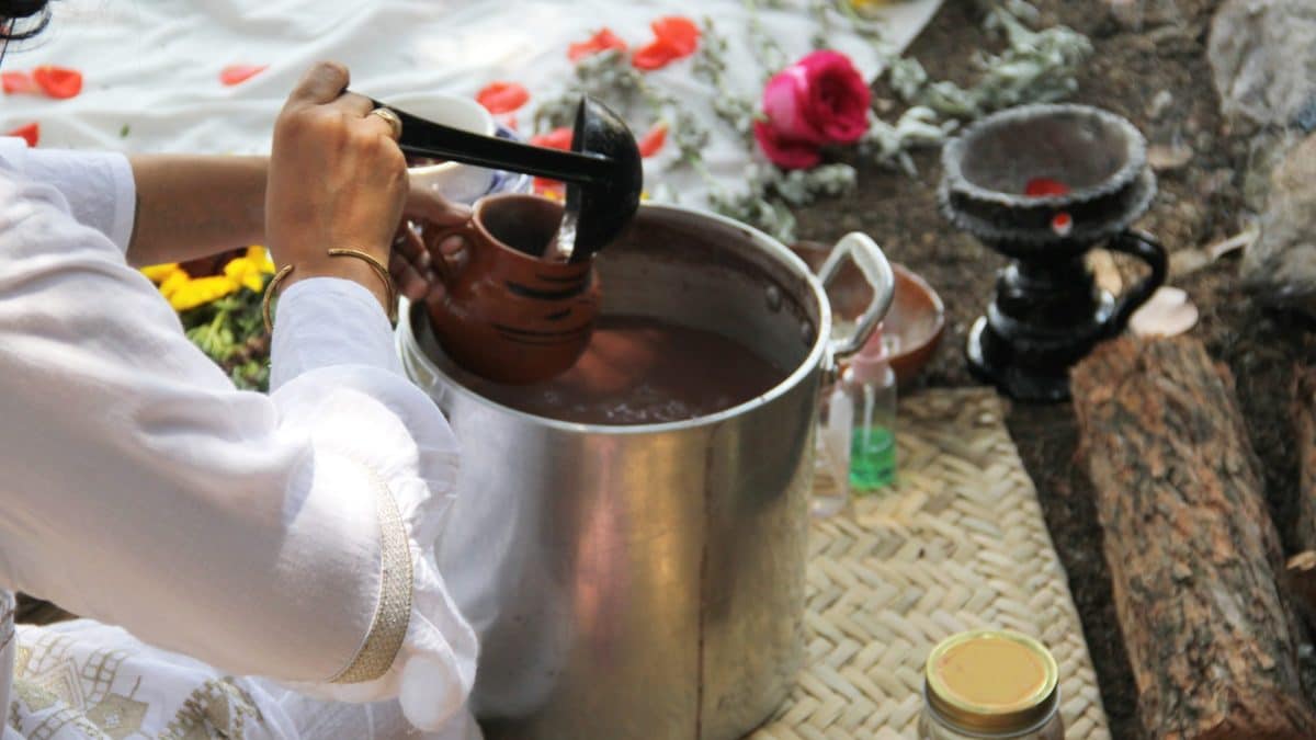 Preparazione dell’Ayahuasca, un decotto allucinogeno utilizzato in contesti rituali.