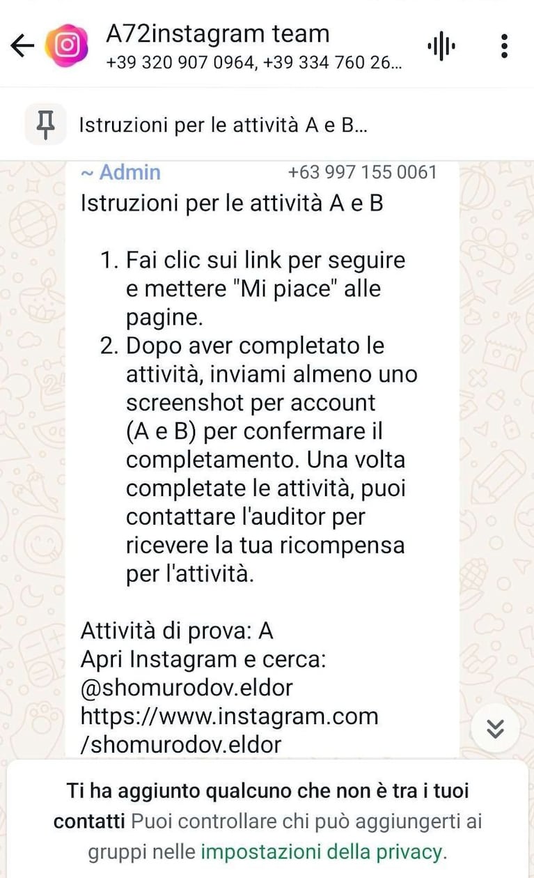 Immagine