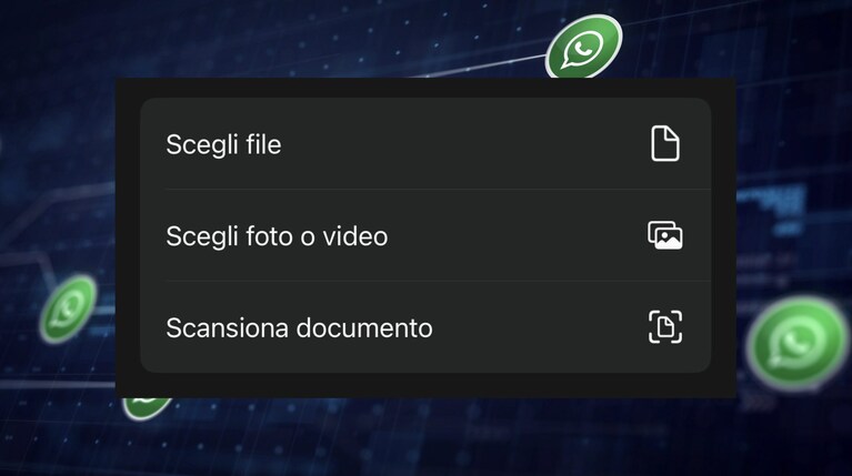 Immagine