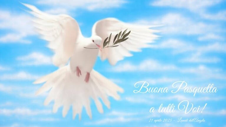 Immagine