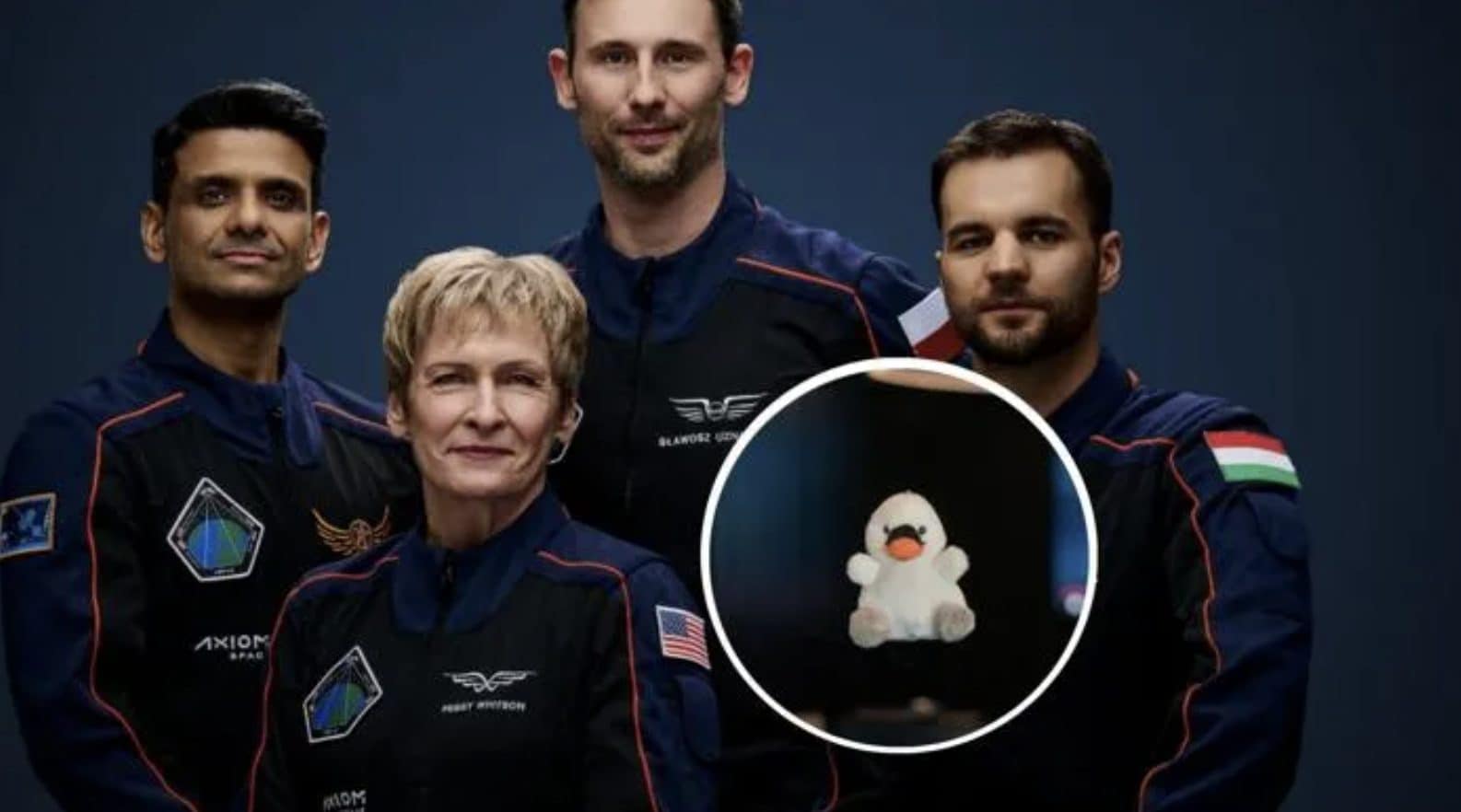 Piccola storia del cigno di peluche che è arrivato nello Spazio