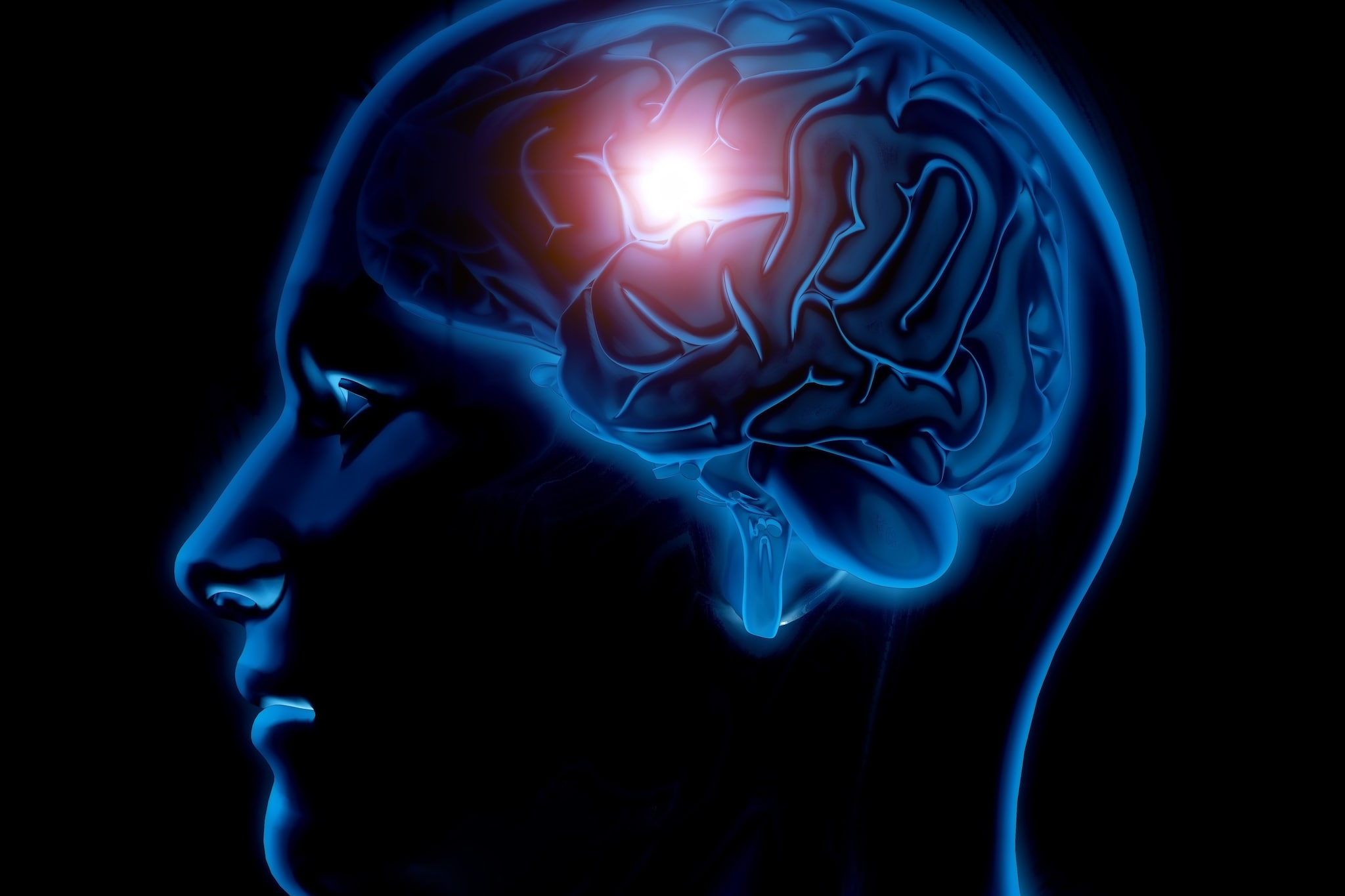 Uno studio ha misurato il ritmo segreto del cervello: cosa dice della nostra intelligenza