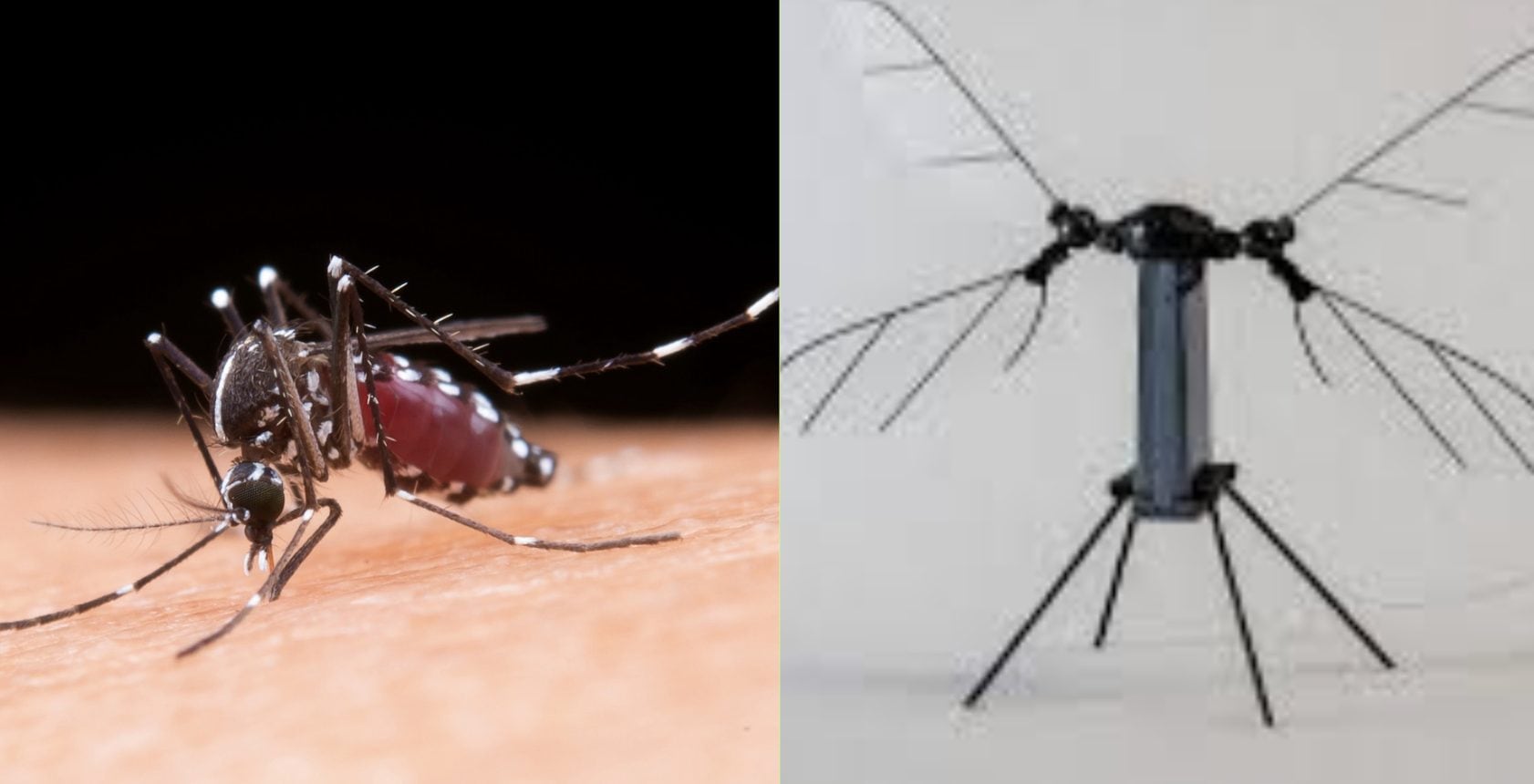 È iniziata l'era degli insetti spia: cosa sappiamo sul drone zanzara che può spiare chiunque