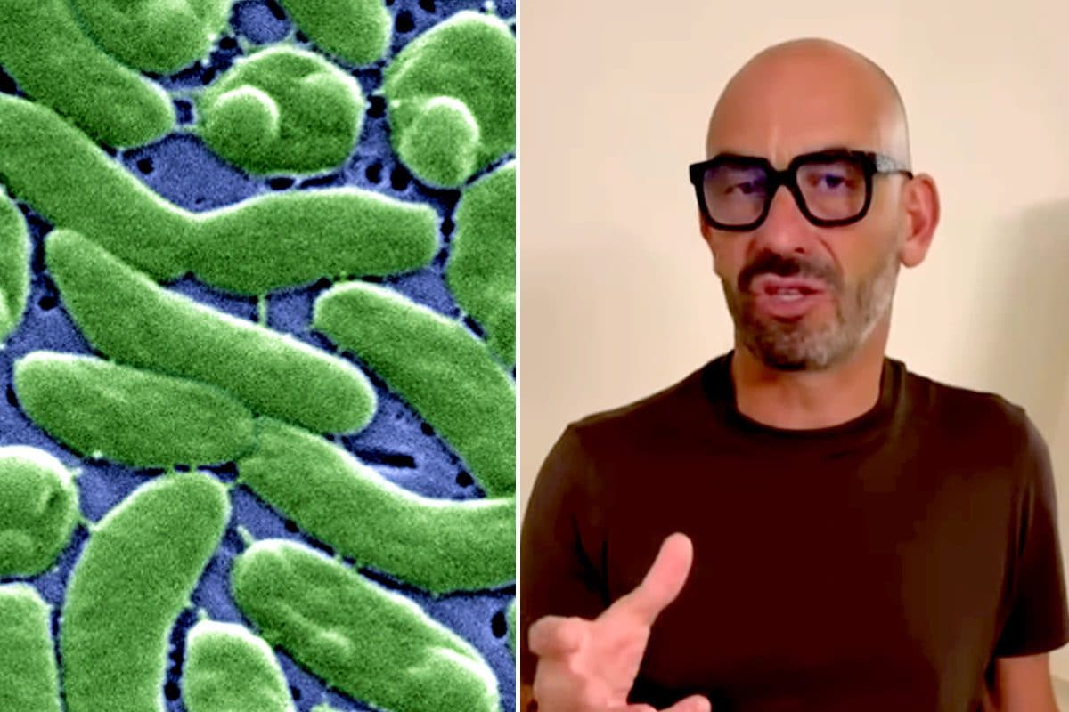 Batterio “mangia-carne” Vibrio vulnificus, cos’è e dove si trova il vibrione di cui parla Matteo Bassetti