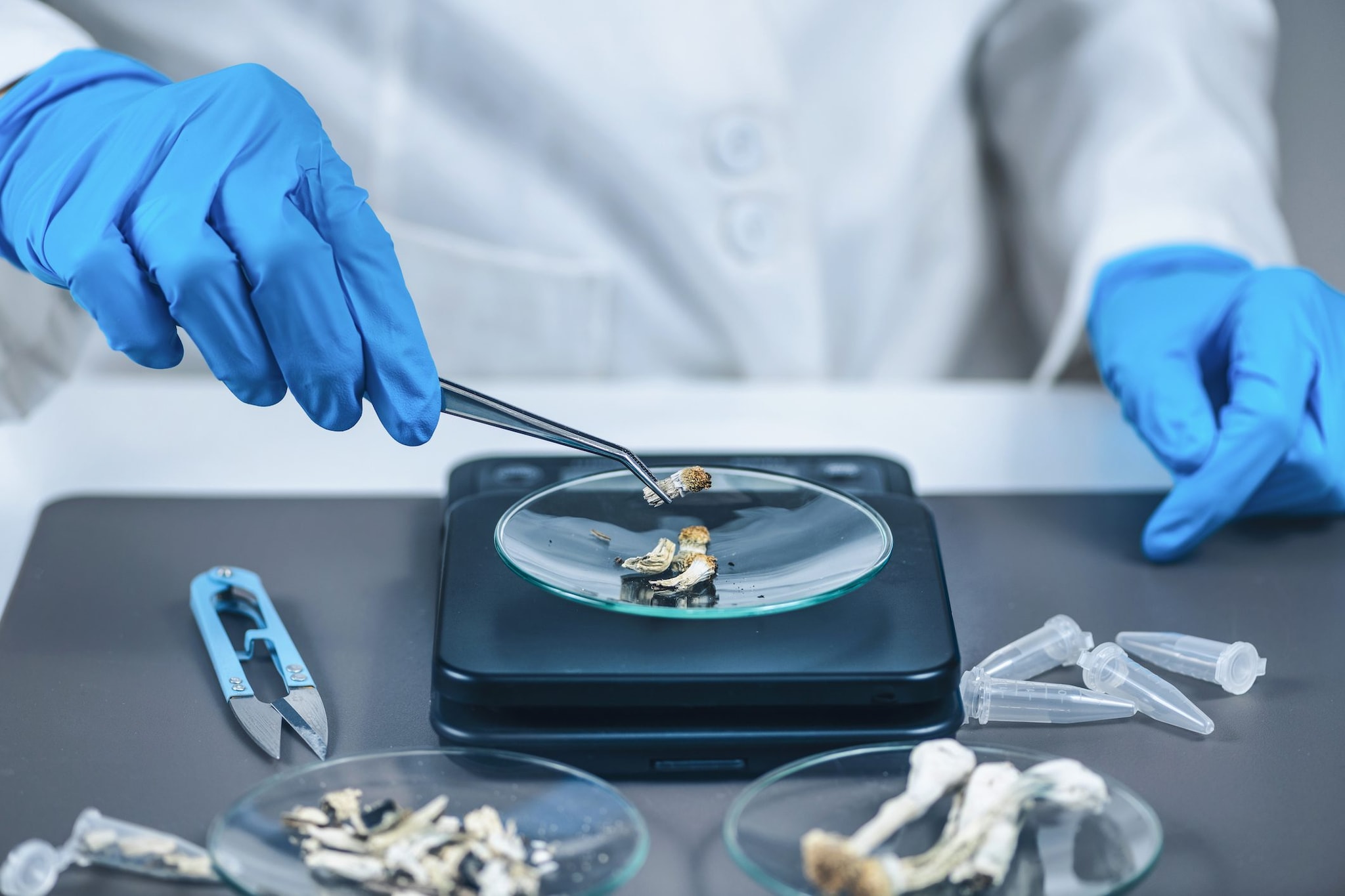 L'Italia sta sperimentando i funghi allucinogeni per curare la depressione: gli effetti sulla mente