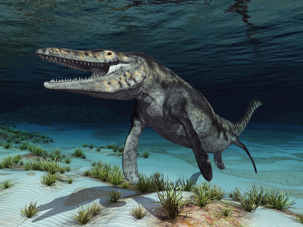 No, il mosasauro di Jurassic World non era un dinosauro marino: gli errori nel film "La rinascita"