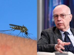 Virus West Nile, con quale sintomo cercare assistenza medica: Giovanni Rezza risponde a Fanpage.it