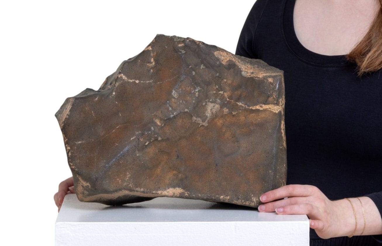 All'asta il più grande meteorite arrivato da Marte, pesa 25 kg: sarà venduto a un prezzo clamoroso