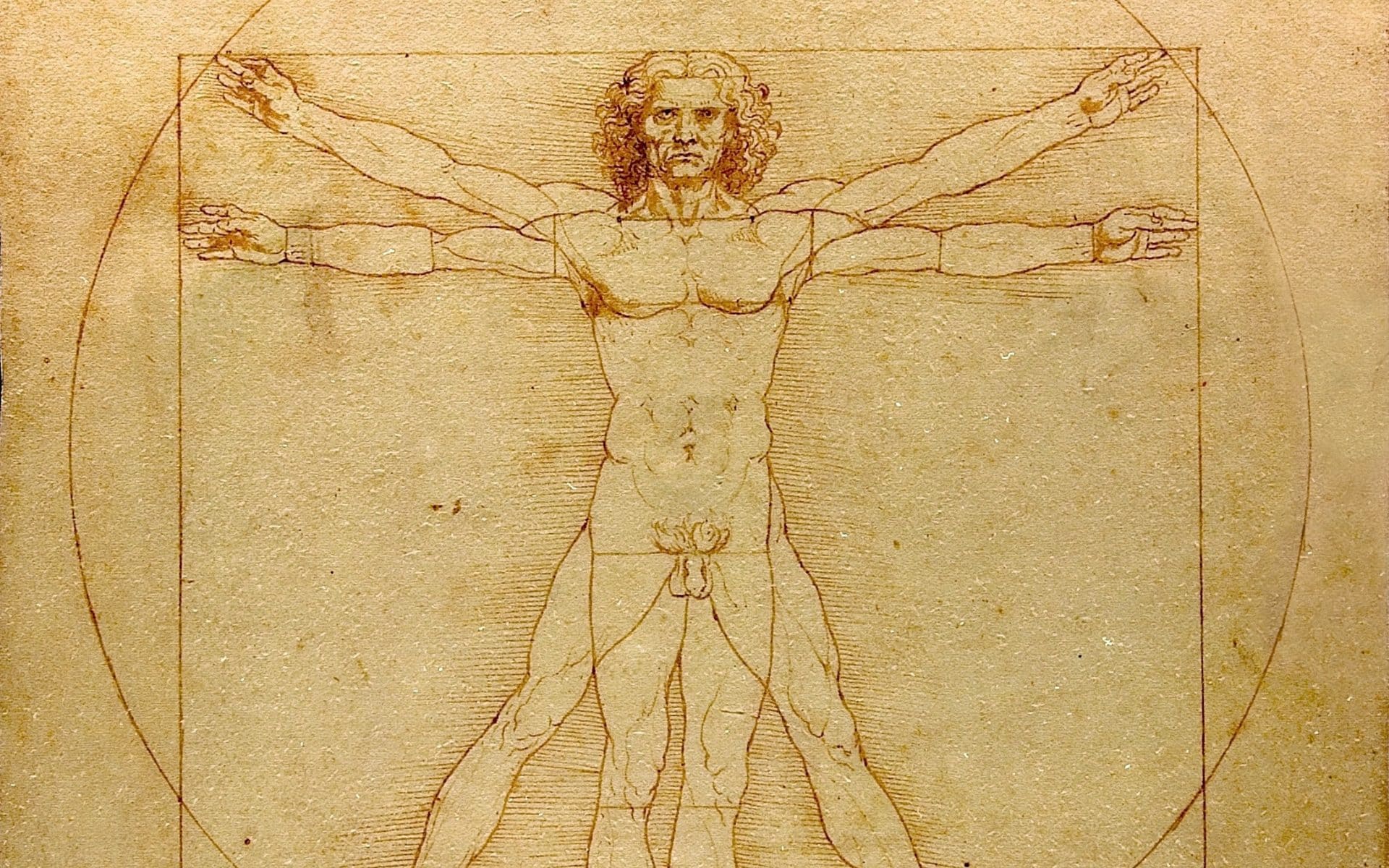 Forse abbiamo capito il segreto dell'Uomo vitruviano di Leonardo da Vinci: "Era nascosto nelle sue parole"