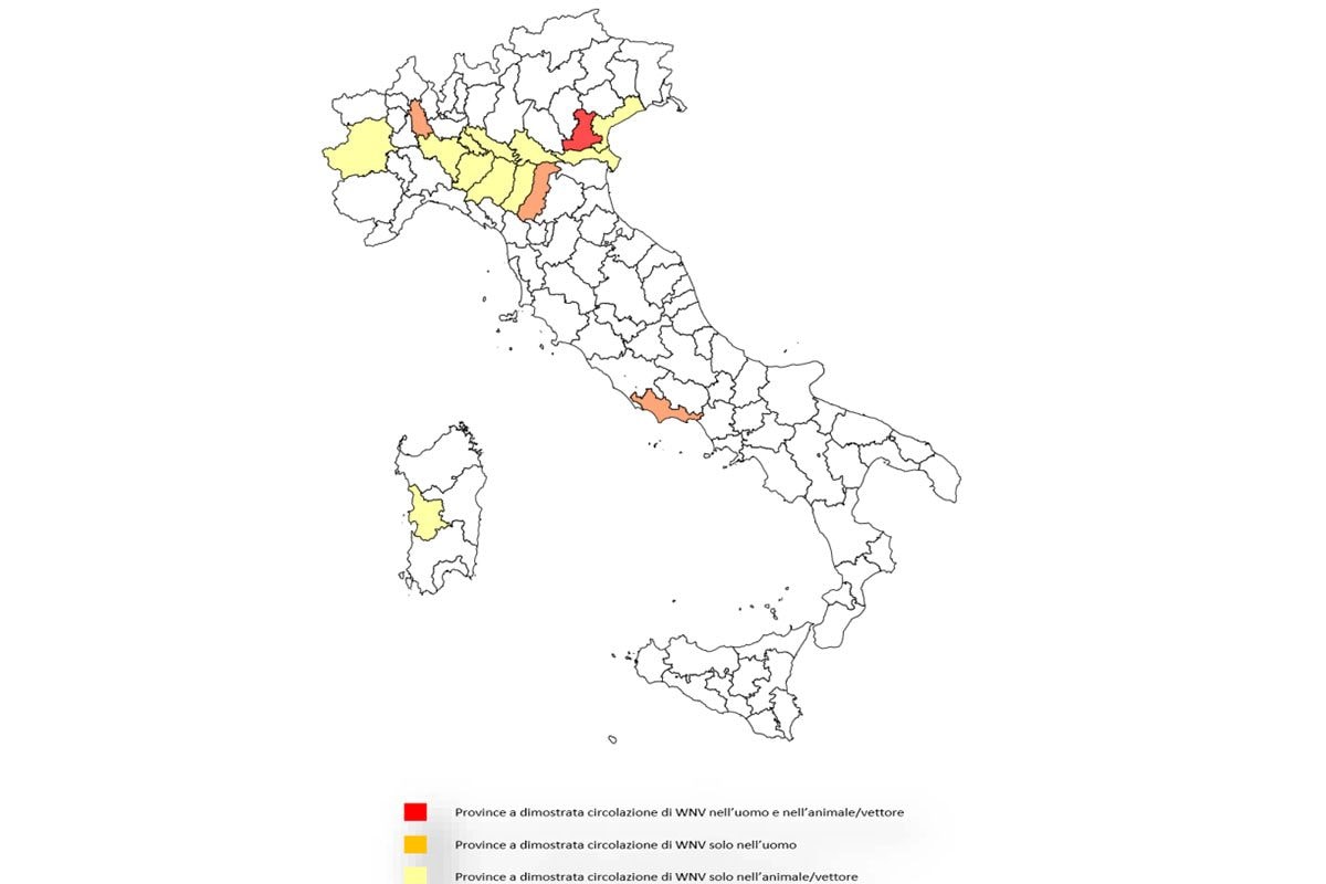 La circolazione del virus del West Nile (WNV) in Italia (dati aggiornati al 17 luglio 2025) : in arancione le province in cui si sono verificati casi di infezione nell’uomo / Credit: Sorveglianza West Nile (IZS/ISS)