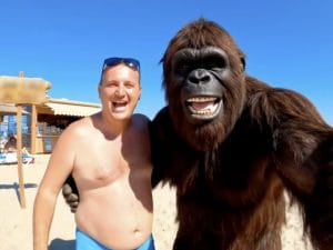 Perché i social ora sono pieni di scimmioni che ci raccontano le loro giornate
