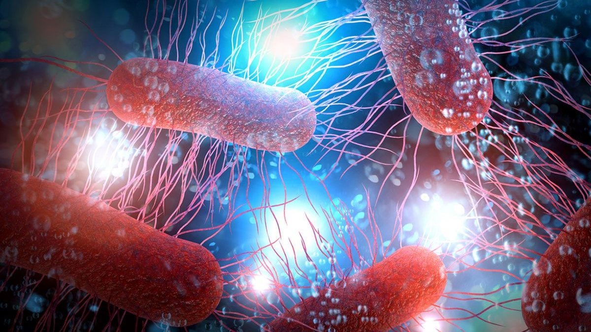 Gli scienziati di Cambridge hanno appena creato una nuova forma di vita, un batterio sintetico chiamato Syn57 / Credit: iStock