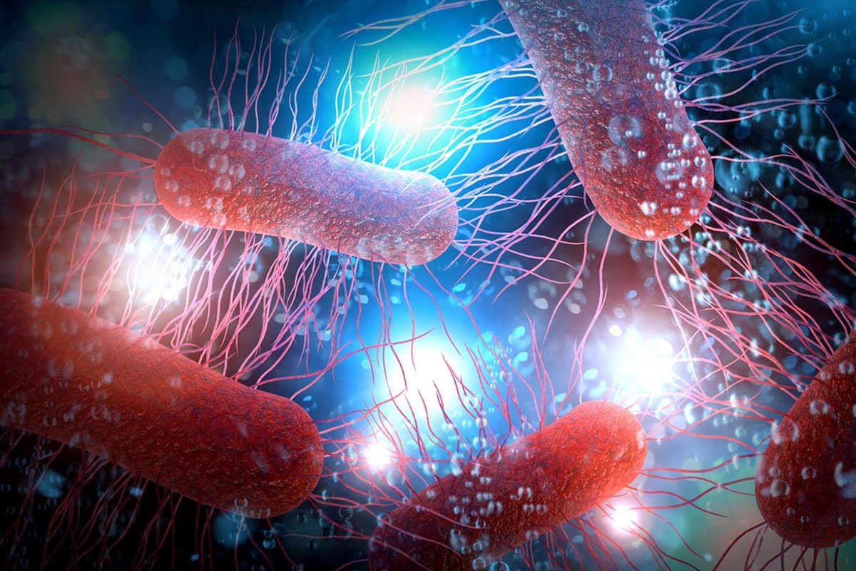 Syn57, la nuova forma di vita creata in laboratorio: cos’è il batterio sintetico nato a Cambridge