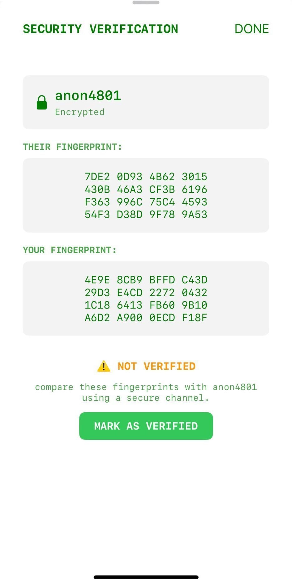 BITCHAT | I nostri test sull’app