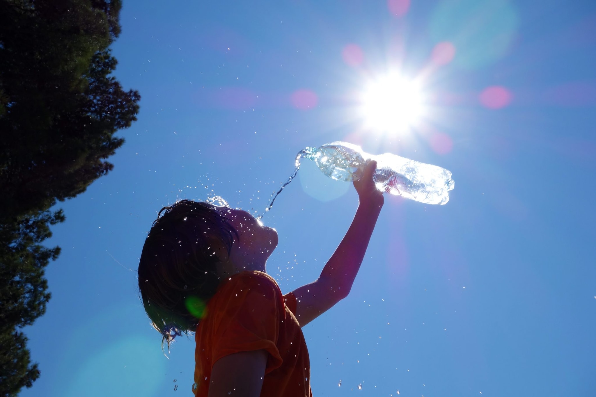 "Le ondate di calore estreme sono killer silenziosi": l'allarme dell'Oms