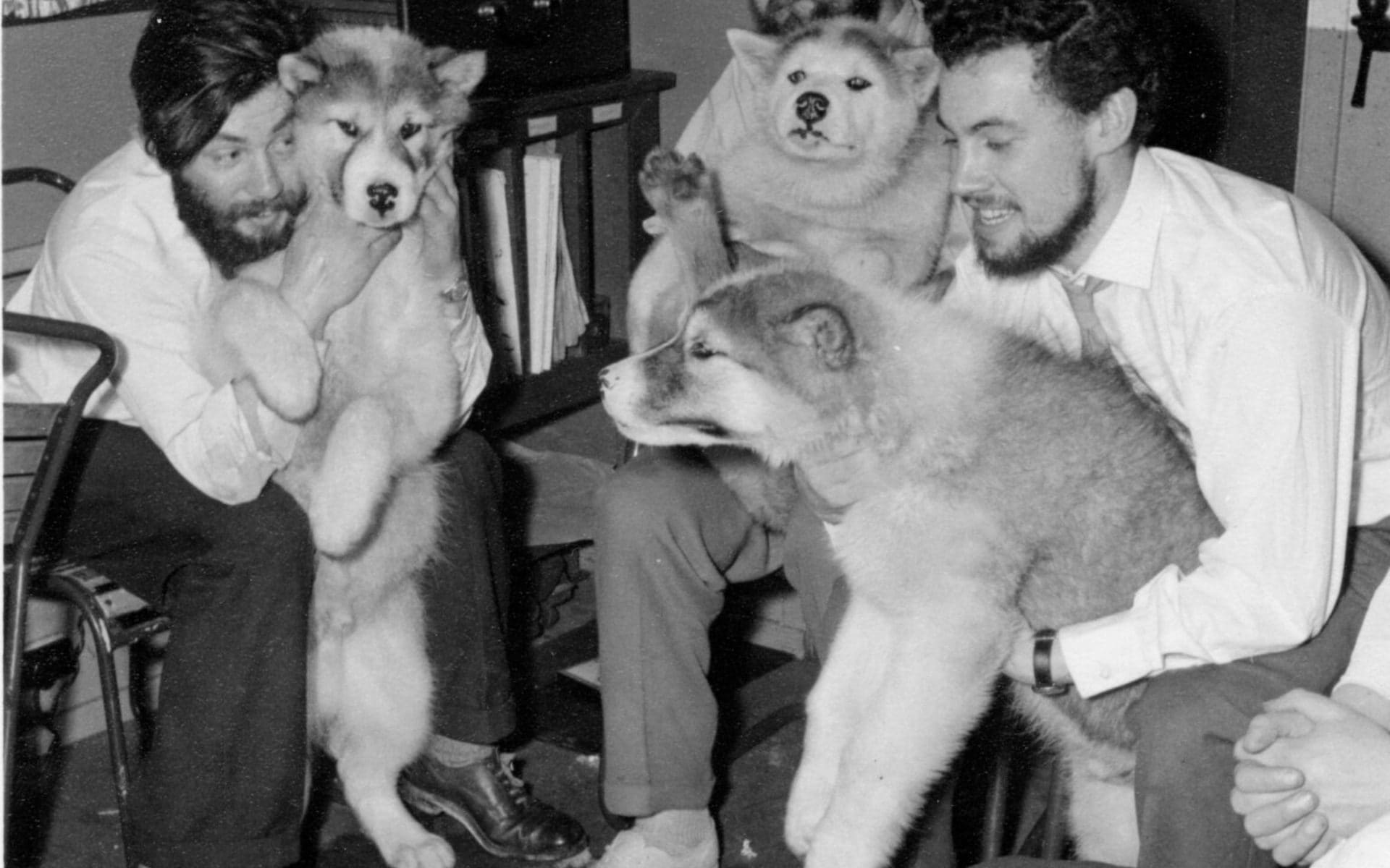 Dopo 66 anni il ghiacciaio restituisce i resti di un ricercatore scomparso nel 1959: la storia di Dennis Bell